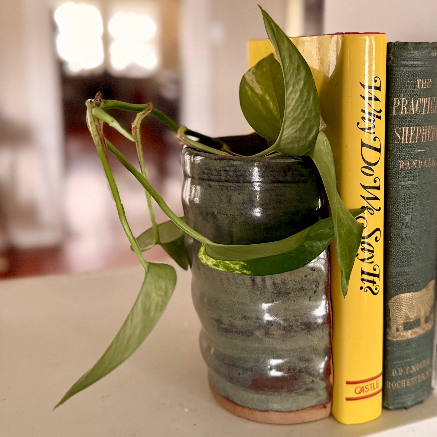 Bookend Planters, Wall Decor